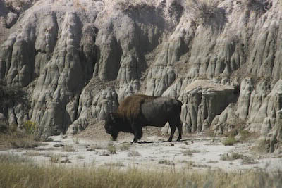Teddy Roosevelt Park (ND)